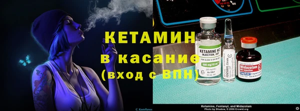 твердый Гусев
