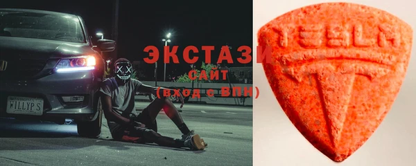 твердый Гусев