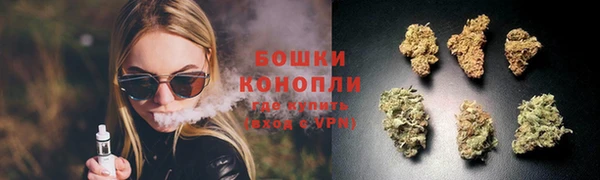 стафф Дмитровск