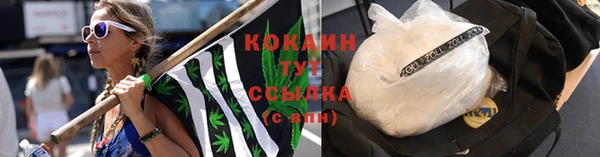 твердый Гусев