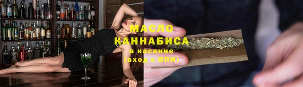 твердый Гусев