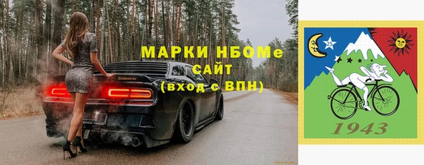 твердый Гусев