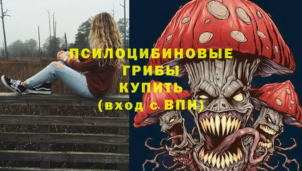 бошки Гусиноозёрск