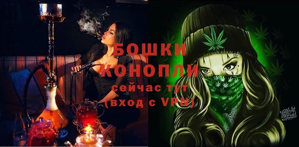 твердый Гусев