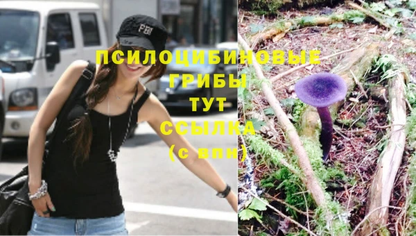 прущие крисы Дмитриев