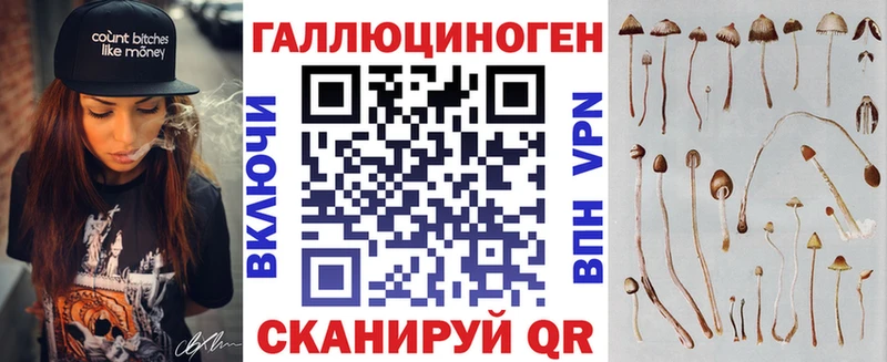 Галлюциногенные грибы Psilocybe Морозовск